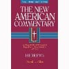hebrews commentary cover
