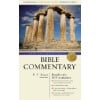 new international bible commentary