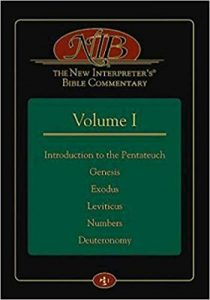 New Interpreter's Bible Commentary