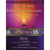 south asia bible commentary