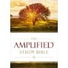 amplified study bible