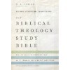 biblical theology study bible