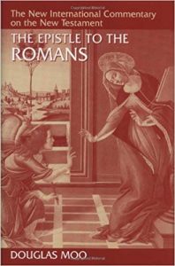 Romans commentary by Douglas Moo