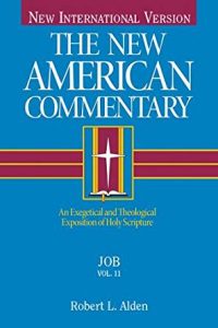 Job commentary by Robert Alden