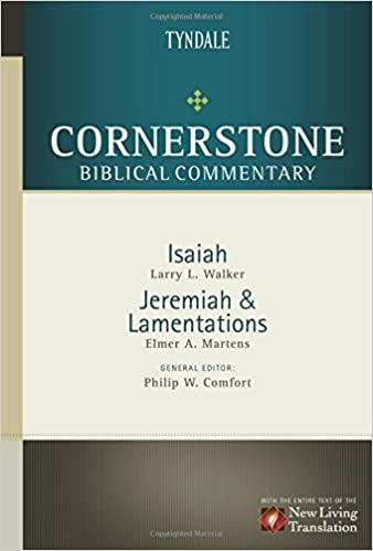 Lamentations commentary Martens