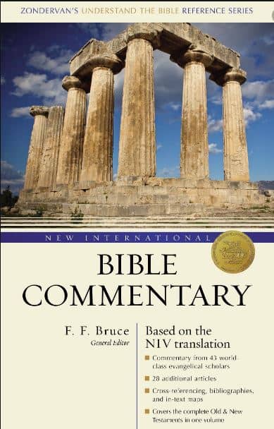 bible commentary