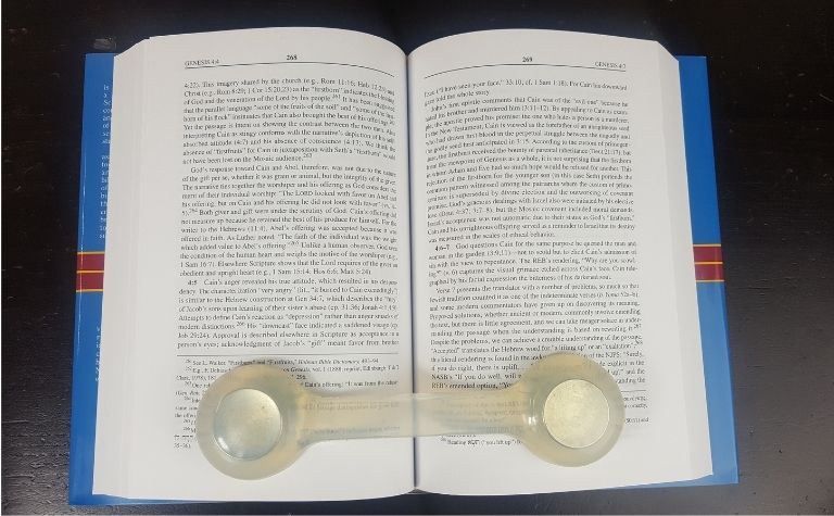 Genesis commentary by Kenneth Mathews