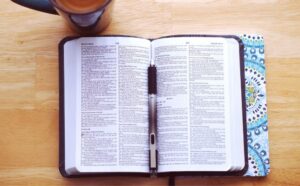 WHICH NASB VERSION IS BEST visual data 5